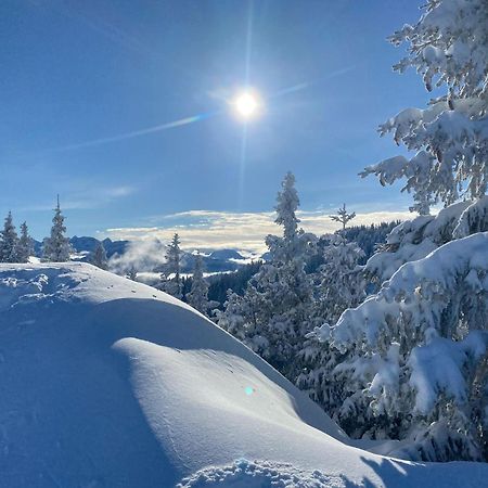 Trollenhof Im Allgaeu - Ferienwohnungen Saeuling Ruckholz Esterno foto