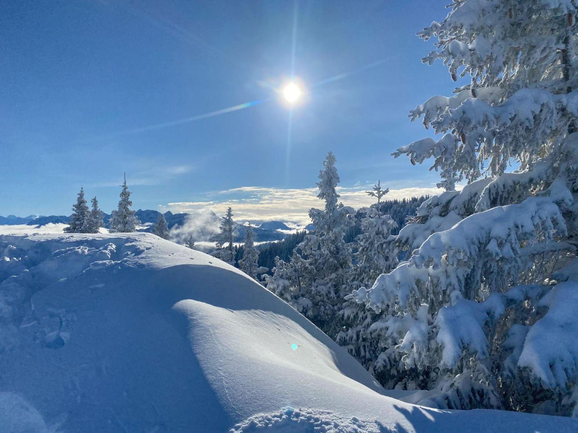 Trollenhof Im Allgaeu - Ferienwohnungen Saeuling Ruckholz Esterno foto
