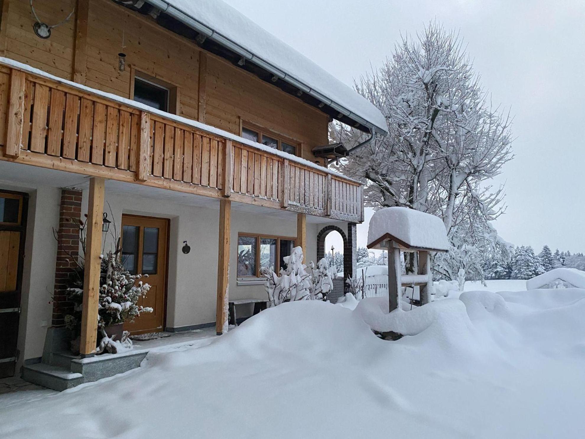 Trollenhof Im Allgaeu - Ferienwohnungen Saeuling Ruckholz Esterno foto