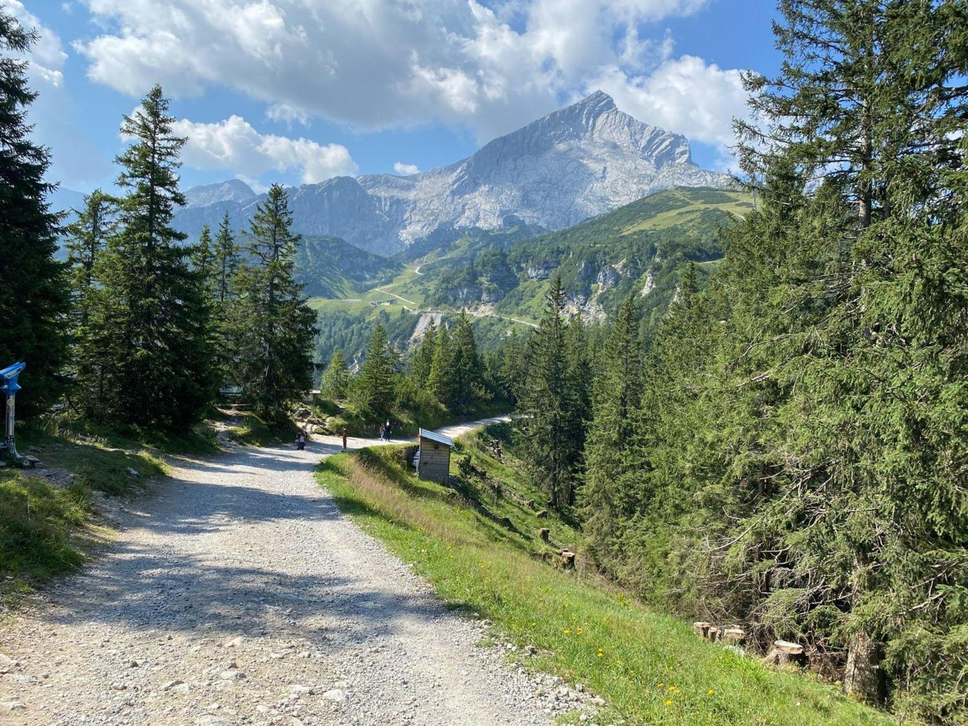 Trollenhof Im Allgaeu - Ferienwohnungen Saeuling Ruckholz Esterno foto