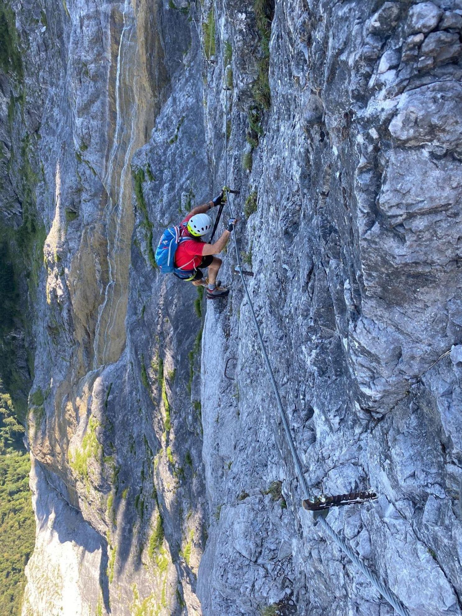 Trollenhof Im Allgaeu - Ferienwohnungen Saeuling Ruckholz Esterno foto
