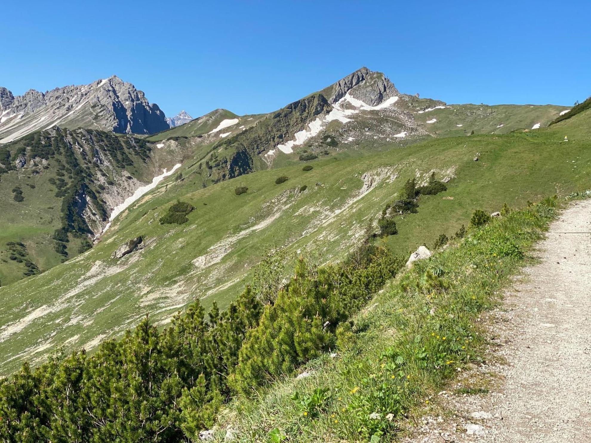 Trollenhof Im Allgaeu - Ferienwohnungen Saeuling Ruckholz Esterno foto