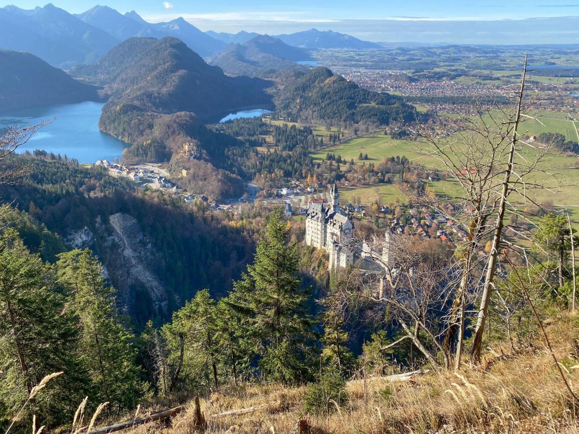 Trollenhof Im Allgaeu - Ferienwohnungen Saeuling Ruckholz Esterno foto